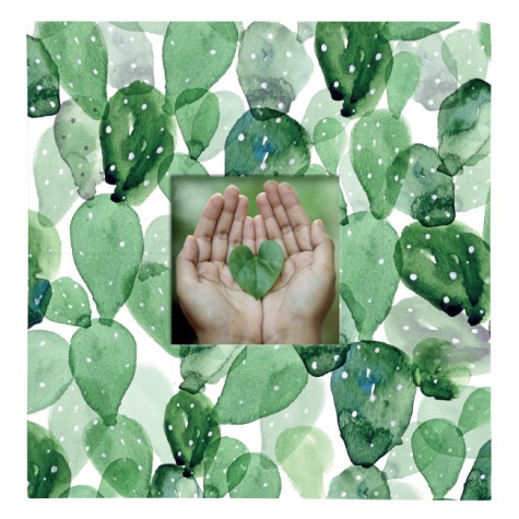 Albi Fotoalbum - Kaktus ~ 1