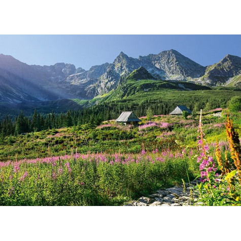 CHERRY PAZZI Puzzle Gąsienicowa dolina, Vysoké Tatry 1000 dílků ~ 2