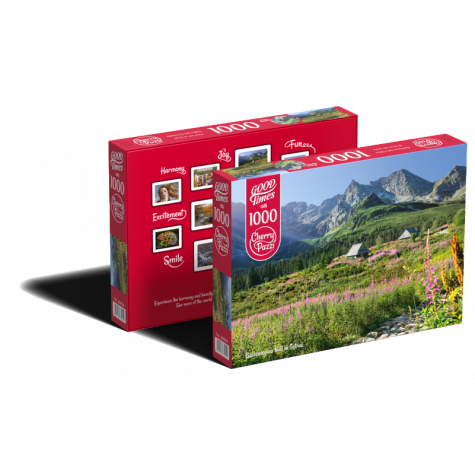 CHERRY PAZZI Puzzle Gąsienicowa dolina, Vysoké Tatry 1000 dílků ~ 3