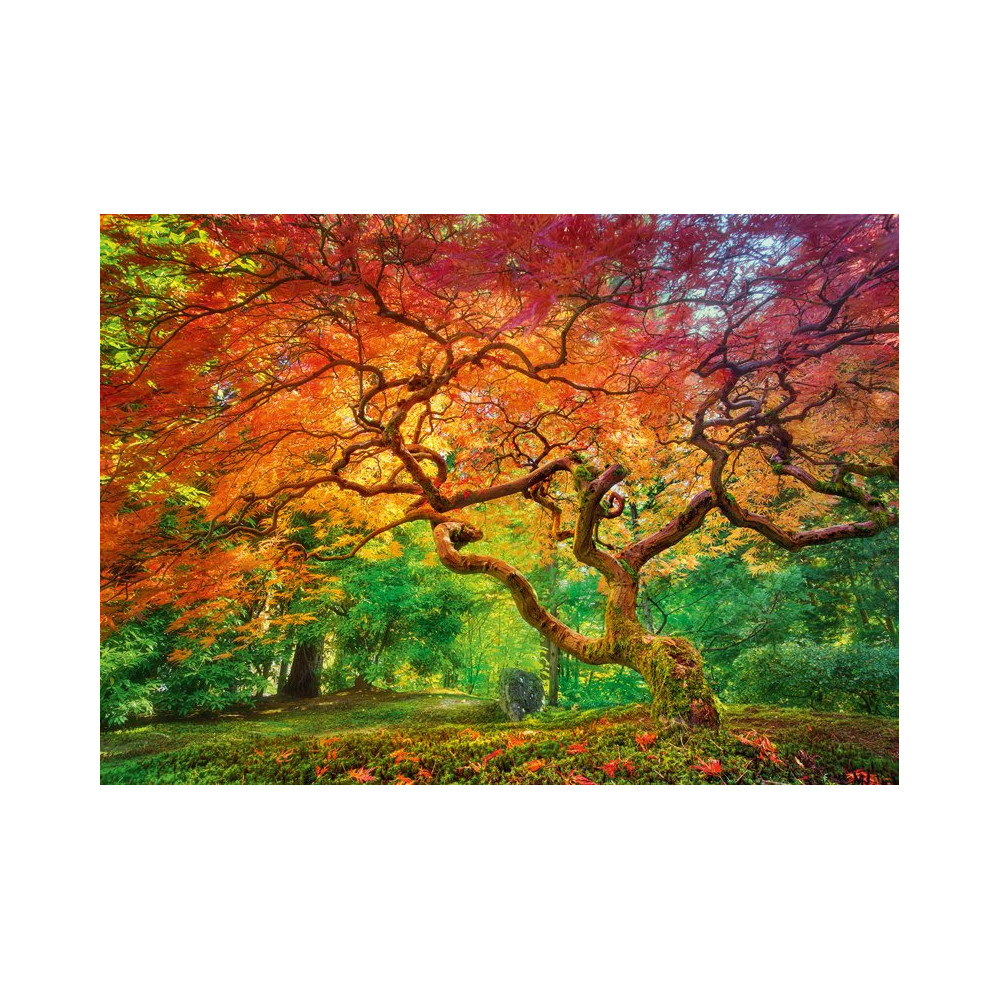 Cherry Pazzi Puzzle 1000 Pezzi - Berlin Havelcafe, 70x50 Cm, Scena Di Vita Berlinese