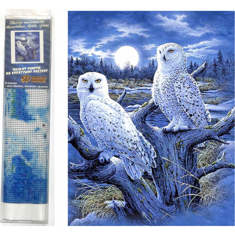 Norimpex Diamantový obrázek malování 30x40cm - Sovice sněžní ~ 1