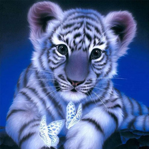 Norimpex Diamantový obrázek malování 15x20cm - Bílý tygřík
