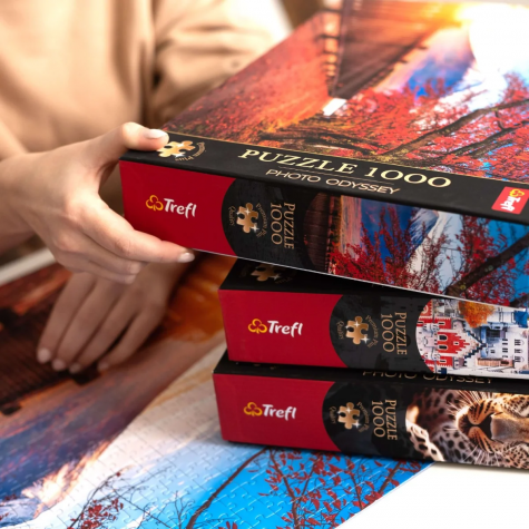 TREFL Puzzle Premium Plus Photo Odyssey: Rakotzův most v Kromlau 1000 dílků ~ 3
