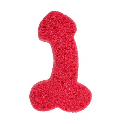 Mycí houba penis ~ 1