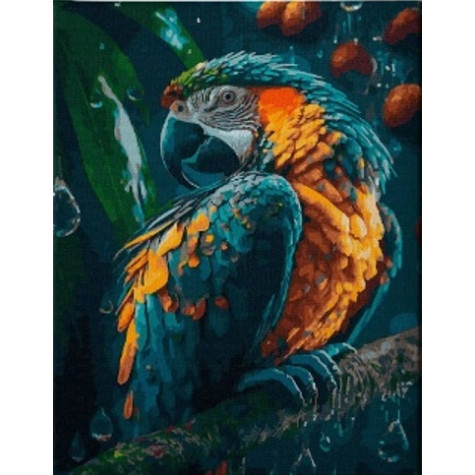 Norimpex Diamantový obrázek malování 30x40cm - Papoušek v dešti ~ 2