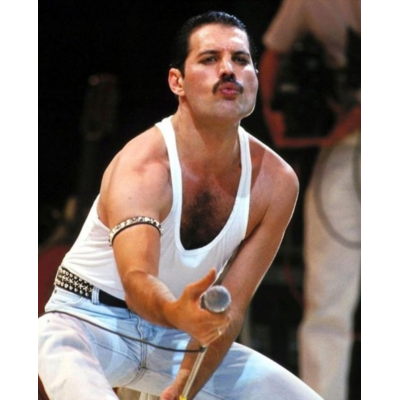 Norimpex Diamantový obrázek malování 30x40cm - Freddie Mercury