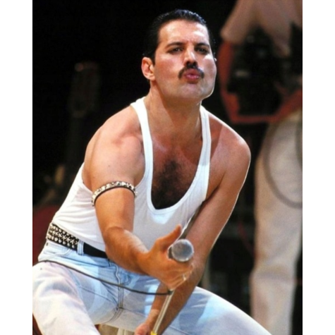 Norimpex Diamantový obrázek malování 30x40cm - Freddie Mercury ~ 1