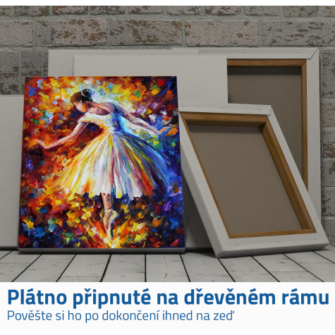 Diamantové malování s rámem - baletka ~ 3