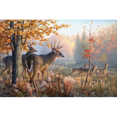 Norimpex Diamantový obrázek malování 30x40cm - Jeleni v ranní mlze