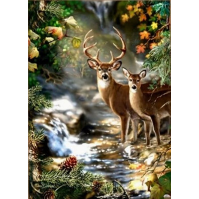 Norimpex Diamantový obrázek malování 30x40cm - Jelen a srnka u lesního potoka