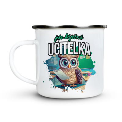 Ahome Plecháček - Jste báječná učitelka - sova