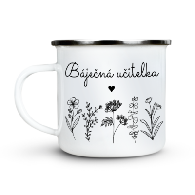 Ahome Plecháček - Báječná učitelka