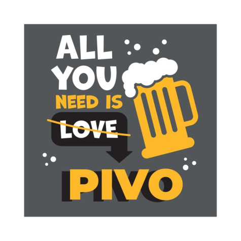 Albi Pánské tričko - All you need is pivo - XXL ~ 2
