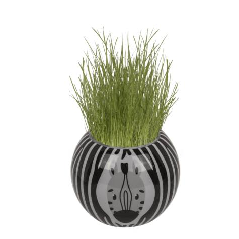 Travňák zvířátka Safari ~ 2