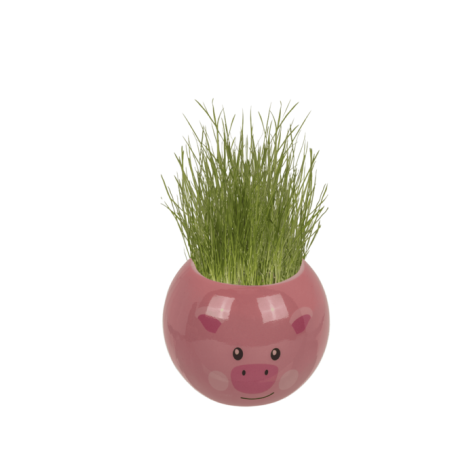 Travňák zvířátka na farmě - Prase ~ 2