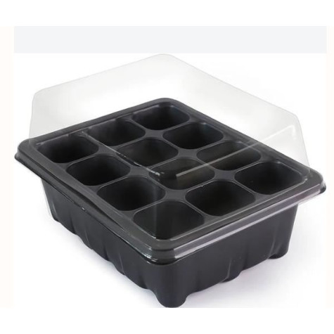Minipařeniště na pěstování rostlin ~ 2