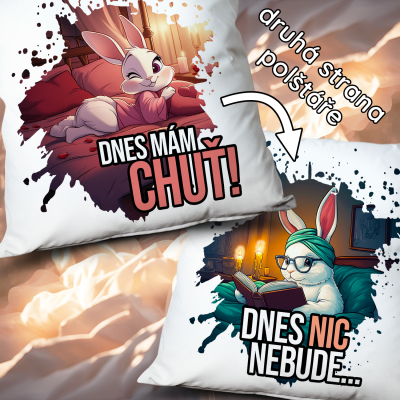 Ahome Polštář - Dnes mám chuť, dnes nic nebude