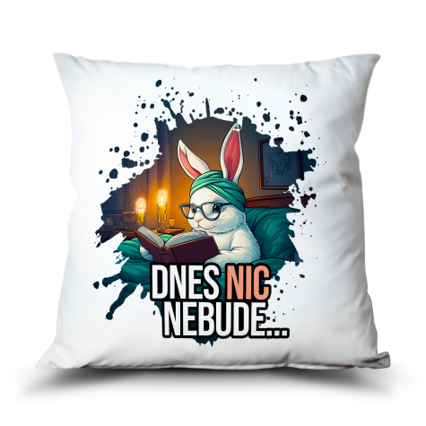 Ahome Polštář - Dnes mám chuť, dnes nic nebude ~ 2