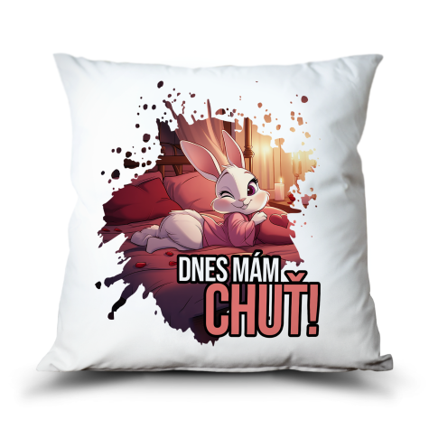 Ahome Polštář - Dnes mám chuť, dnes nic nebude ~ 3