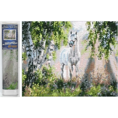 Norimpex Diamantový obrázek malování 30x40cm - Bílý kůň