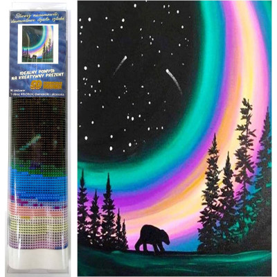 Norimpex Diamantový obrázek malování 30x40cm - Polární noc