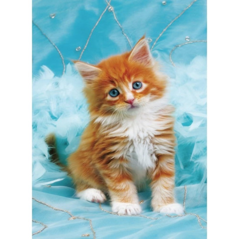 Norimpex Diamantový obrázek malování 30x40cm - Zrzavé kotě na modrém pozadí ~ 1