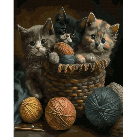 Norimpex Diamantový obrázek malování 30x40cm - Kočky v košíku ~ 2