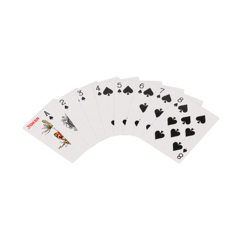Poker sada 100 ks + karty + kostky v kufříku ~ 7
