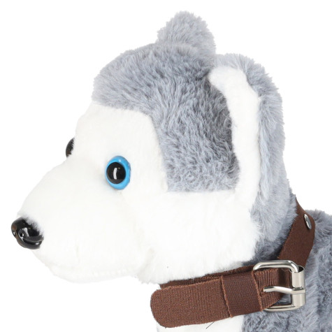 Interaktivní chodící pes na vodítku Husky ~ 7