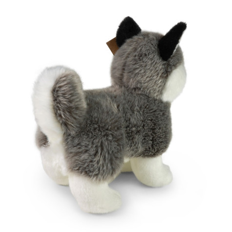 Rappa Plyšový pes husky stojící 23 cm ECO-FRIENDLY ~ 4