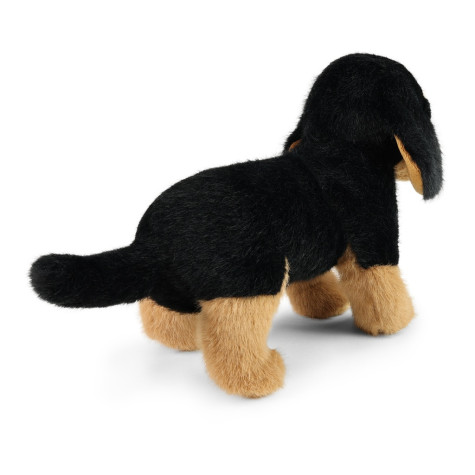 Rappa Plyšový pes jezevčík 23 cm SOFT COLLECTION, ECO-FRIENDLY ~ 4