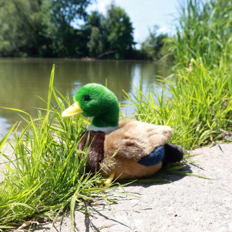 Rappa Plyšová kachna 20 cm ECO-FRIENDLY ~ 5
