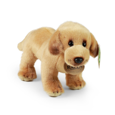Rappa Plyšový labrador stojící 20 cm ECO-FRIENDLY ~ 2