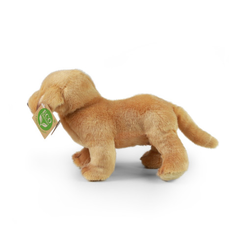 Rappa Plyšový labrador stojící 20 cm ECO-FRIENDLY ~ 3