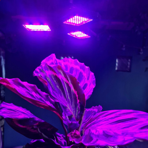 LED lampa pro pěstování rostlin Gardlov 20440 ~ 2