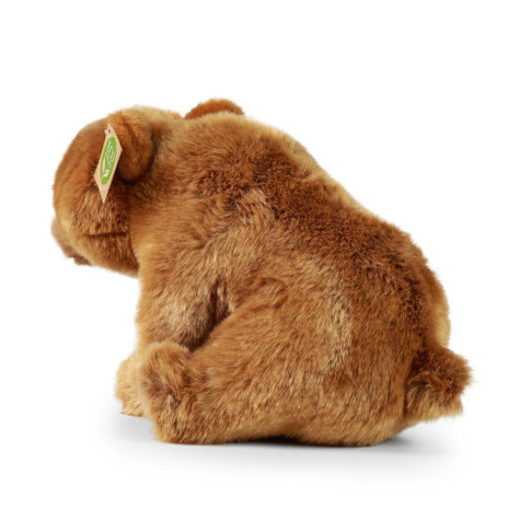 Rappa Plyšový medvěd grizzly sedící 30 cm ECO-FRIENDLY ~ 4