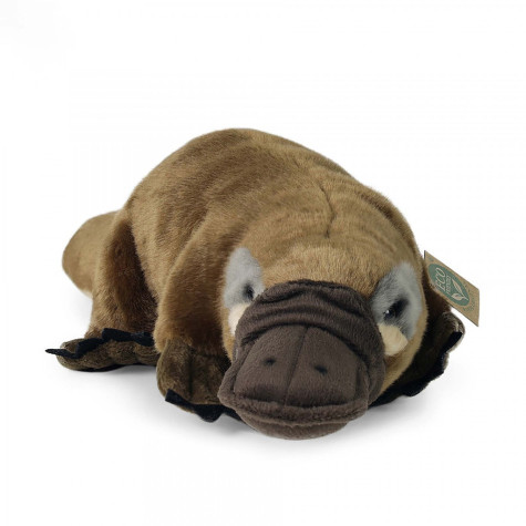 Rappa Plyšový ptakopysk 30 cm ECO-FRIENDLY ~ 1
