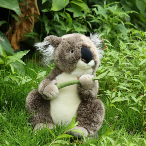 Rappa Plyšová koala 30 cm ECO-FRIENDLY ~ 4