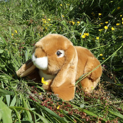 Rappa Plyšový králík hnědý 25 cm ECO-FRIENDLY ~ 5