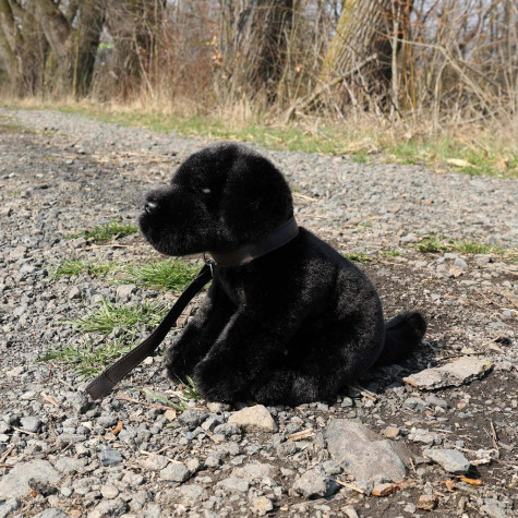 Rappa Plyšový pes labrador černý 25 cm ECO-FRIENDLY ~ 5