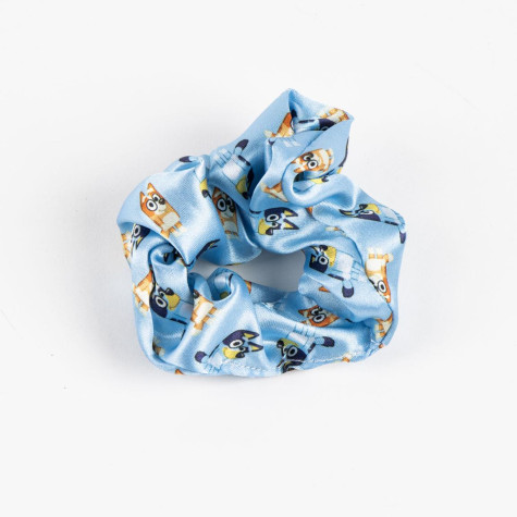 Sada vlasových doplňků Bluey ~ 3