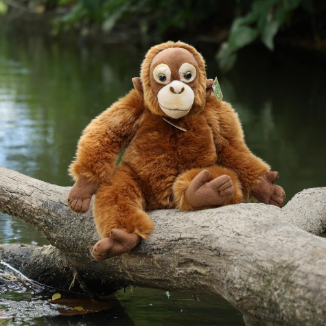 Rappa Plyšová opice orangutan 27 cm ECO-FRIENDLY ~ 3