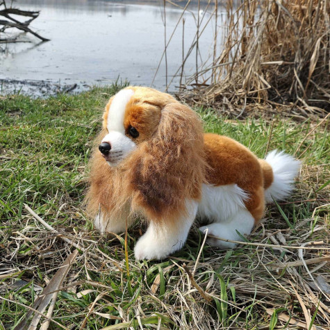 Rappa Plyšový pes kavalír King Charles španěl 28 cm ECO-FRIENDLY ~ 5