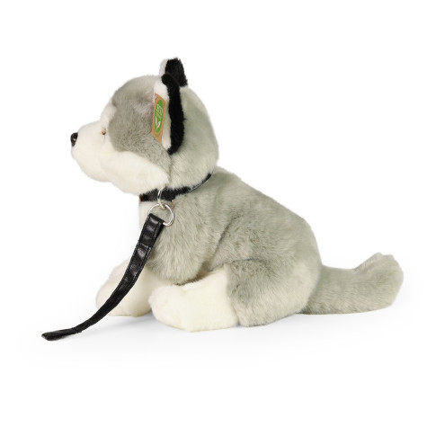 Rappa Plyšový pes husky sedící s vodítkem 28 cm ECO-FRIENDLY ~ 3