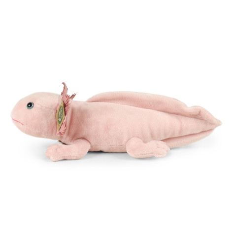 Rappa Plyšový axolotl 33 cm ECO-FRIENDLY ~ 3