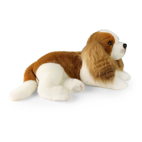 Rappa Plyšový pes kavalír King Charles španěl 40 cm ECO-FRIENDLY ~ 3