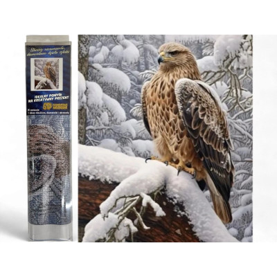 Norimpex Diamantový obrázek malování 30x40cm - Orel v zimní krajině