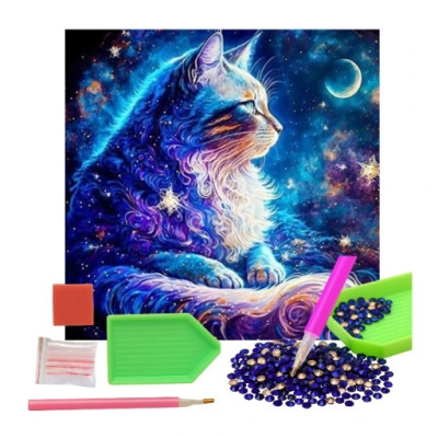 Norimpex Diamantový obrázek malování 30x40cm - Vesmírná kočka