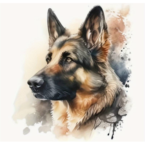 Norimpex Diamantový obrázek malování 30x40cm - Vlčák portrét hlava ~ 2