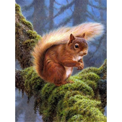 Norimpex Diamantový obrázek malování 30x40cm - Veverka v lese